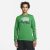 CAMISETA MANGA LARGA AIR JORDAN JUMPMAN VERDE