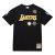 Camiseta Pau Gasol Los Angeles Lakers «NBA Hall of Fame» Mitchell and Ness