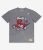 Camiseta Vince Carter Toronto Raptors Mitchell and Ness N&N gris