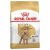 Caniche adulto 1.5 kg