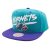 Gorra Charlotte Hornets – Mitchell and Ness Transcript VNTG