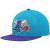 Gorra Charlotte Hornets Team 2 Tone Hwc 2 – Mitchell And Ness.