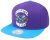 Gorra Charlotte Hornets Wool 2 Tone – Mitchell And Ness.