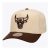 Gorra curva Bulls Fashion Basic 2T Pro Snapback Teal Mitchell and Ness *