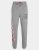PANTALON  JORDAN SPORT «DNA HBR» GRIS.