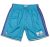 Short Charlotte Hornets Retro 1999-00 – Mitchell and Ness swingman
