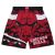 Short Chicago Bulls NBA Jumbotron 2 – Mitchell & Ness