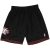 Short Philadelphia Sixers Hardwood Classic 2000 de Mitchell & Ness