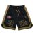 Short San Francisco 49ers NFL Mesh de New Era