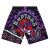 Short Toronto Raptors NBA Jumbotron 2 – Mitchell & Ness